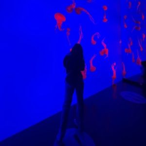 Meet your Posher, Ally